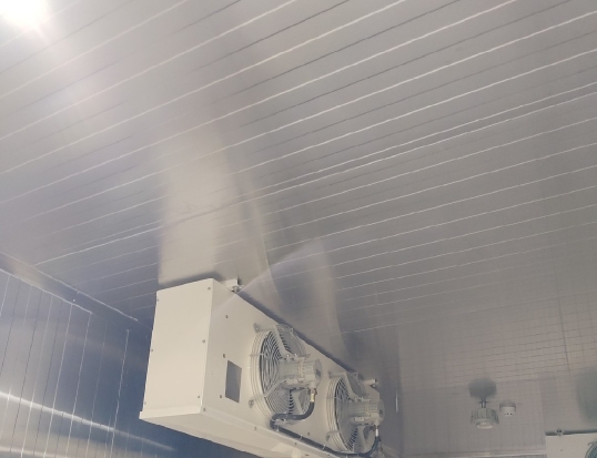 冷庫儲存板栗的好方法：從入庫到出庫的關(guān)鍵細(xì)節(jié)全解析