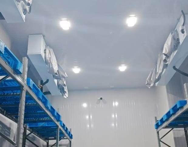 藥品的冷庫(kù)溫度：科學(xué)設(shè)定與維護(hù)的關(guān)鍵要點(diǎn)