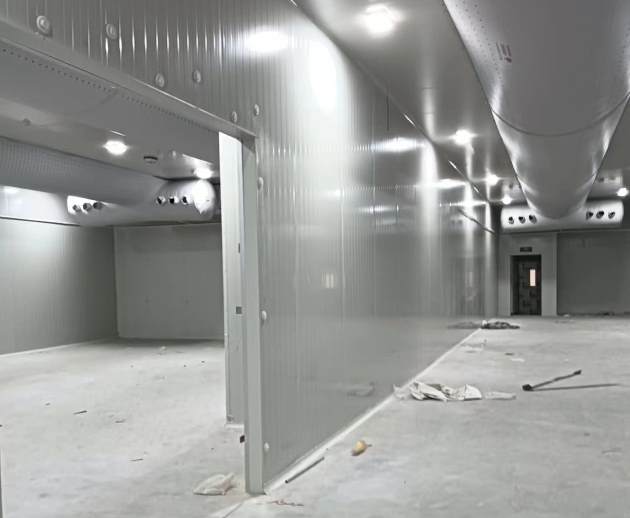 冷庫怎么建省錢又便宜？實用攻略與成本控制技巧