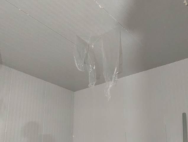 蔬菜保鮮冷庫使用方法全解析：從預(yù)冷到管理的實(shí)用指南