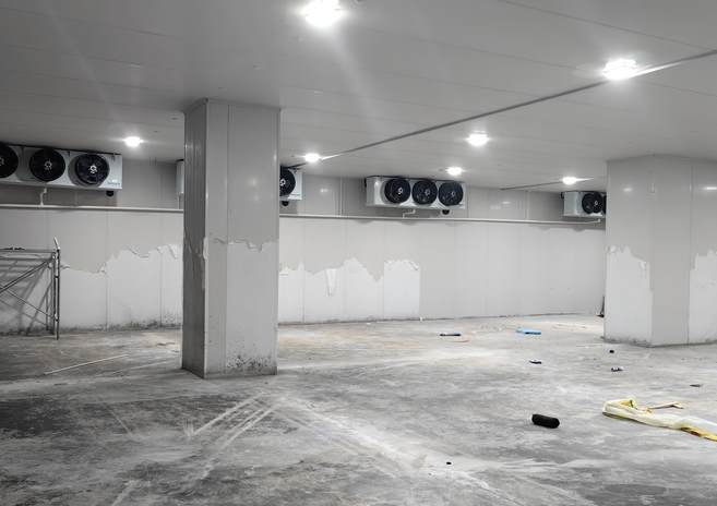 冷庫怎么弄才不結冰呢？這些實用防凍技巧讓你告別冰霜煩惱