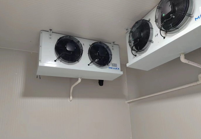 蔬菜冷庫(kù)費(fèi)用多少合適？全面解析與成本優(yōu)化指南