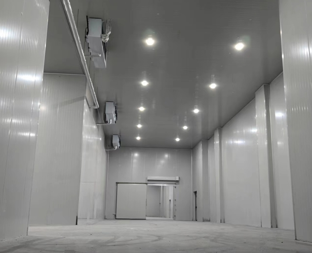 冷庫板多少錢1米？影響價格的關鍵因素與選購指南