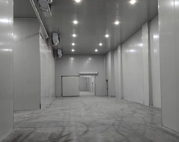 蓋冷庫要多少錢一平方？影響造價的關(guān)鍵因素與市場行情分析