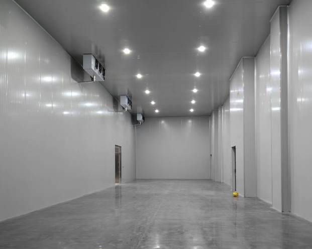 板栗在冷庫怎么保存？掌握這些技巧讓新鮮持久不壞