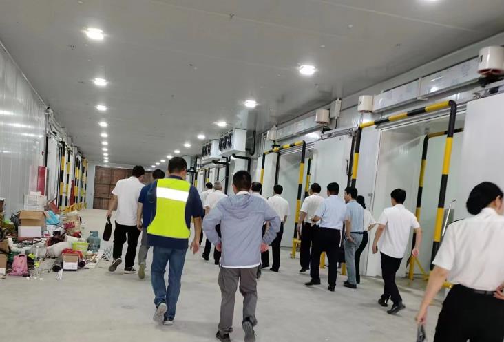 冷庫建設費用全解析：從預算到落地，這些因素決定你的投入成本