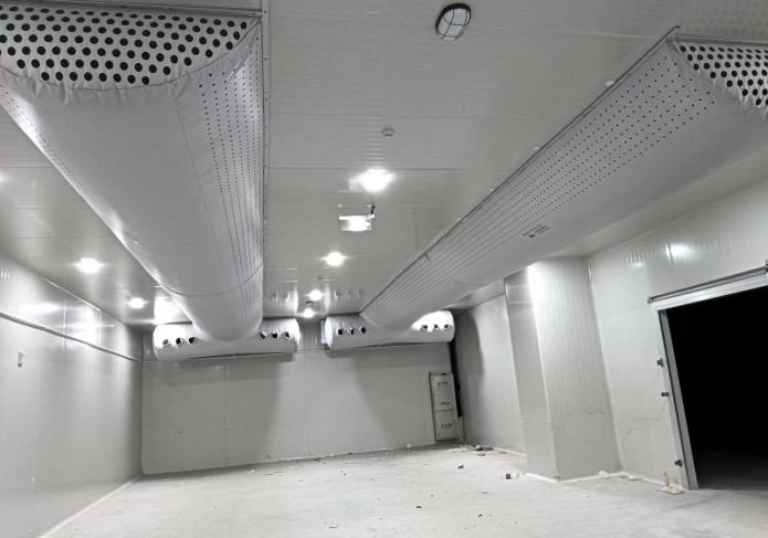 蒜米料冷庫(kù)能存多久？影響因素與優(yōu)化策略深度解析