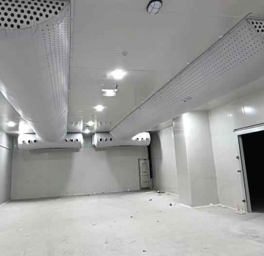 家庭冷庫有輻射嗎為什么？權威真相與科學防護指南