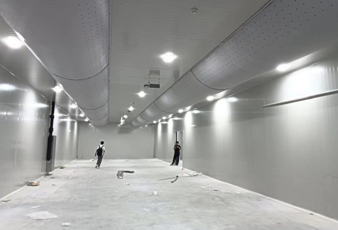 零下18度的冷庫到底有多冷？揭秘低溫背后的科學原理與真實體驗