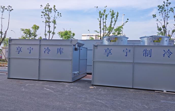 冷庫放葡萄能存放多久？關(guān)鍵因素與保鮮技巧全解析