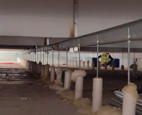 南寧冷庫造價多少錢？從需求到方案的全流程解析