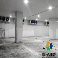 冷庫未加保鮮劑能保存多久？完整保鮮指南看這里！