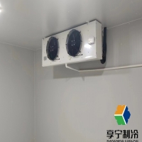 做保鮮冷庫的基本知識有哪些？新手必看避坑指南