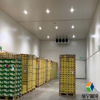 冷庫保溫材料哪種最好最安全？5大維度+真實數(shù)據(jù)幫你選對