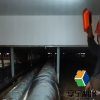 茶葉冷庫高度多少合適？行業(yè)專家揭秘黃金尺寸與避坑指南