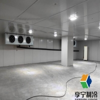 大蒜冷庫能存多久？冷鏈專家詳解儲(chǔ)存周期與保鮮秘訣