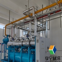 蒜苔冷庫(kù)可以存放多久？專(zhuān)業(yè)倉(cāng)儲(chǔ)經(jīng)驗(yàn)告訴你保鮮秘訣和時(shí)長(zhǎng)極限