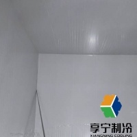 豬肉保鮮冷庫能放多久？看完這篇讓你囤肉不慌！