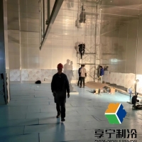 蔬菜放冷庫能放多久？資深農(nóng)技員揭秘保鮮秘訣與避坑指南