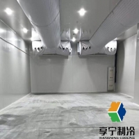 冷庫里的海鮮可以放多久？看完這篇再也不怕囤貨翻車