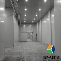 蔬菜放冷庫能保存多久？專業(yè)保鮮指南+不同蔬菜儲存時間表