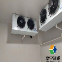 蒜苔放冷庫(kù)能保存多久？資深農(nóng)人教你3招讓保鮮期翻倍！