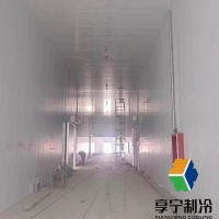 冷庫豬肉能放多久？不同溫度下的保存期限與食用安全指南