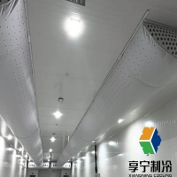 冷庫凍肉保質(zhì)期多久？影響因素、儲存技巧與延長方法全面解析