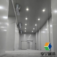 超市蔬菜冷庫可以保鮮多久？資深采購員揭秘延長保鮮期的5個關(guān)鍵技巧