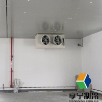 1000平方米冷庫大概造價多少錢? 分項細(xì)算+避坑指南