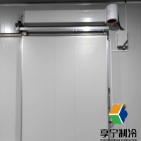 蔬菜在冷庫最長能保存多久？資深專家教你5招延長保鮮期！