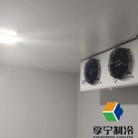 做一個(gè)小型冷庫放茶葉需要多少錢呢？看完這篇心里就有數(shù)了！