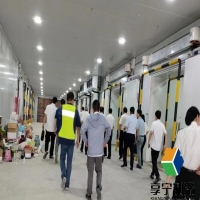 一百平冷庫需要多少錢？全面解析造價細(xì)節(jié)