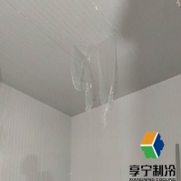 冷庫存豬肉能放多久？超全保鮮攻略+過期預(yù)警信號一次說清