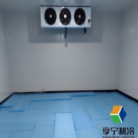 蔬菜冷庫溫度一般多少度？資深倉儲(chǔ)專家揭秘最佳保鮮溫度區(qū)間