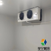 茶葉放冷庫能保存多久??？冷庫存茶3大黃金法則