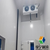 冷庫儲蘋果成本幾何？動態(tài)解析選址、規(guī)模與運營全鏈路支出