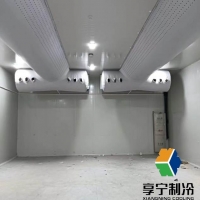 豬肉冷庫能放多久？家用冷藏VS商業(yè)冷凍的保鮮秘籍全公開