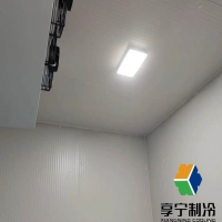 藥品開(kāi)冷庫(kù)間隔多久才能開(kāi)一次門(mén)？冷鏈管理規(guī)范與安全操作指南