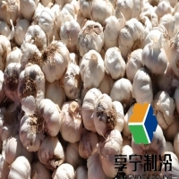 儲(chǔ)存大蒜的冷庫(kù)造價(jià)多少錢(qián)？看完這篇省下30%冤枉錢(qián)