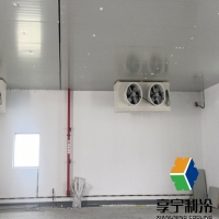 大型氣調(diào)冷庫設備生產(chǎn)廠家有哪些？行業(yè)優(yōu)選服務商綜合盤點